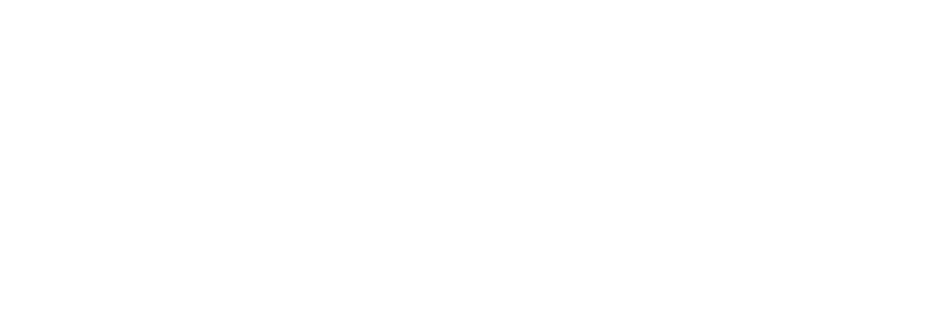 IDEA Logo RGB Wit horizontaal